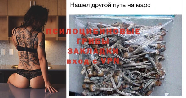 меф Арсеньев