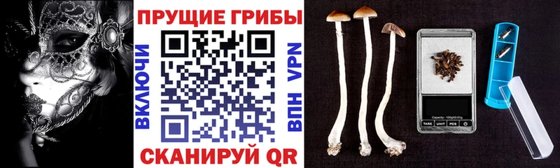 Галлюциногенные грибы мухоморы  купить наркоту  Канаш 